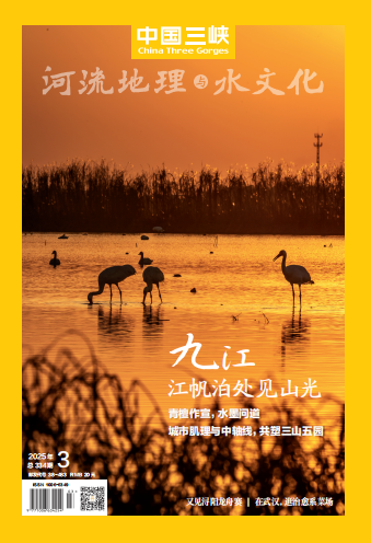 2025年第3期