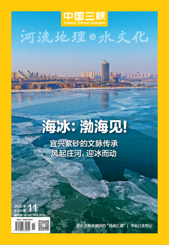 2025年第11期